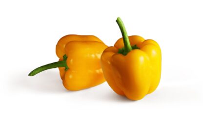 Paprika gelb frisch 5 kg