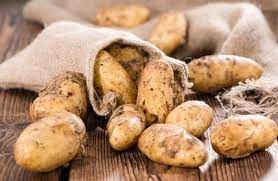 Speisekartoffeln vorwiegend festkochend 4 kg Netz
