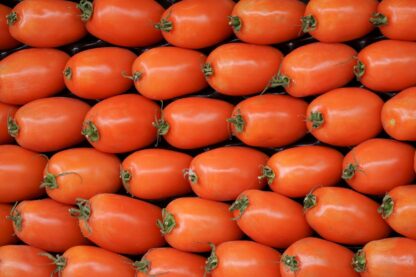 Marzano Tomaten frisch 5 kg Karton