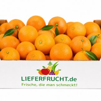Orangen zum Essen 10 kg = kg 2,99€